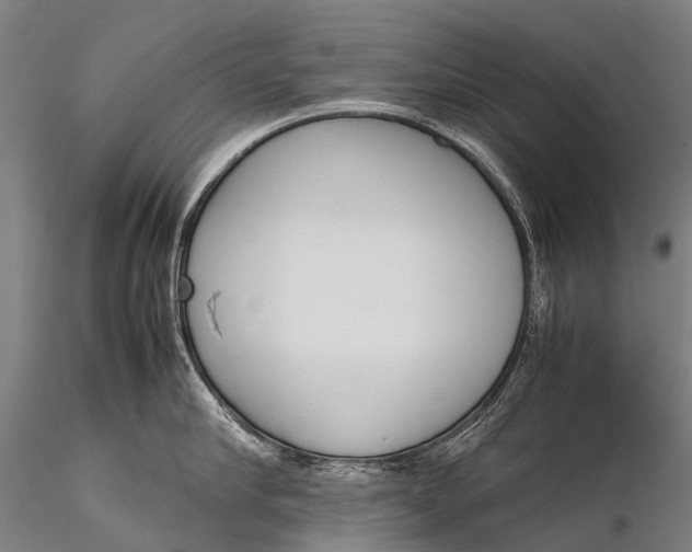 X0000115620910200912011611