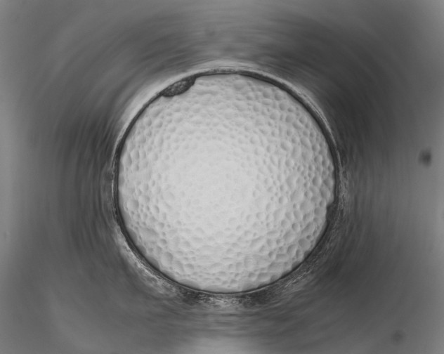 X0000115620911200912011611