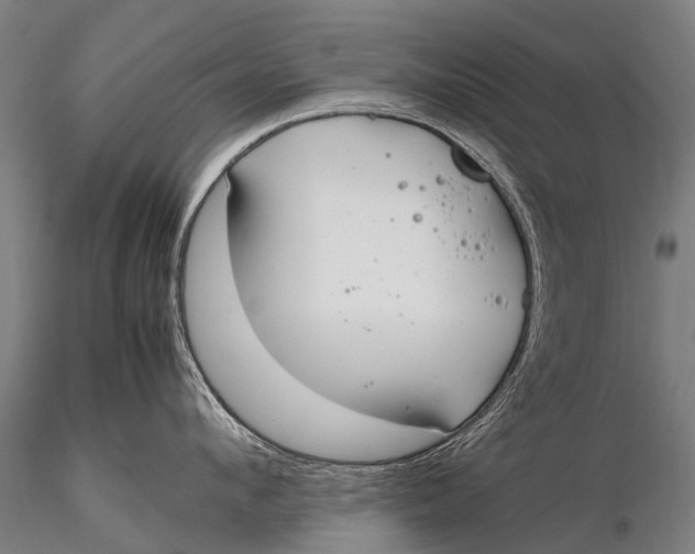 X0000115620912200912011611