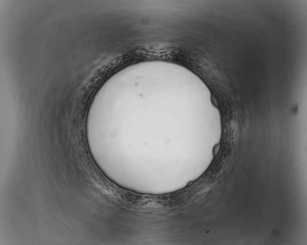 X0000115620913200912011611