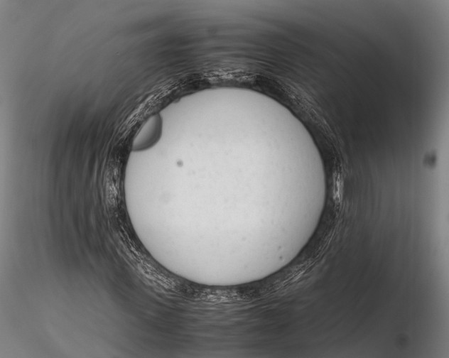 X0000115620915200912011611