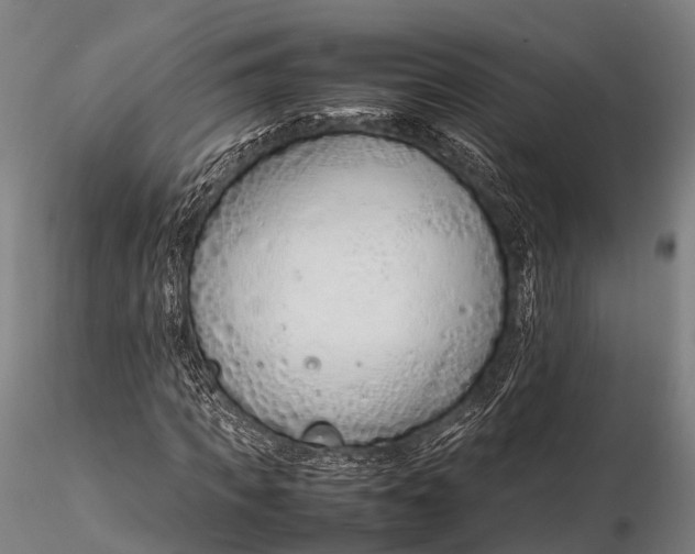 X0000115620917200912011611