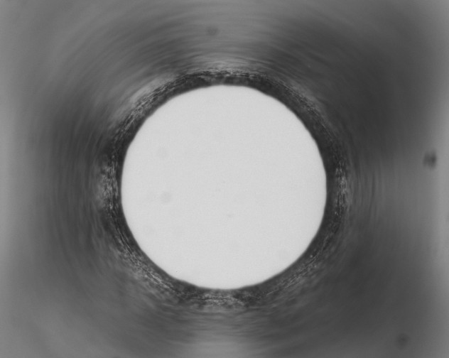 X0000115620918200912011611