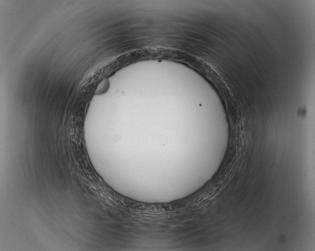 X0000115620919200912011611