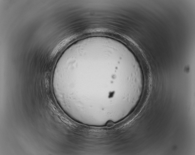 X0000115620921200912011611