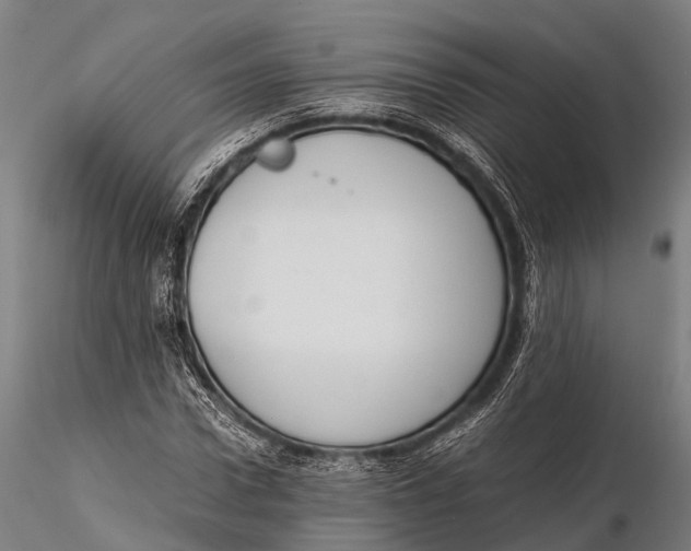 X0000115620922200912011611