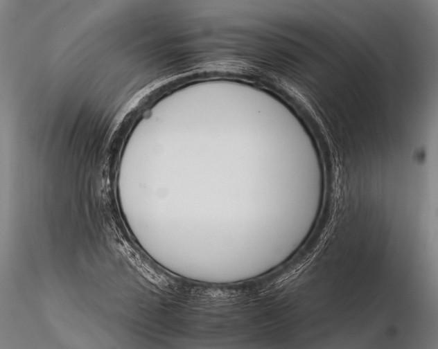 X0000115620923200912011611