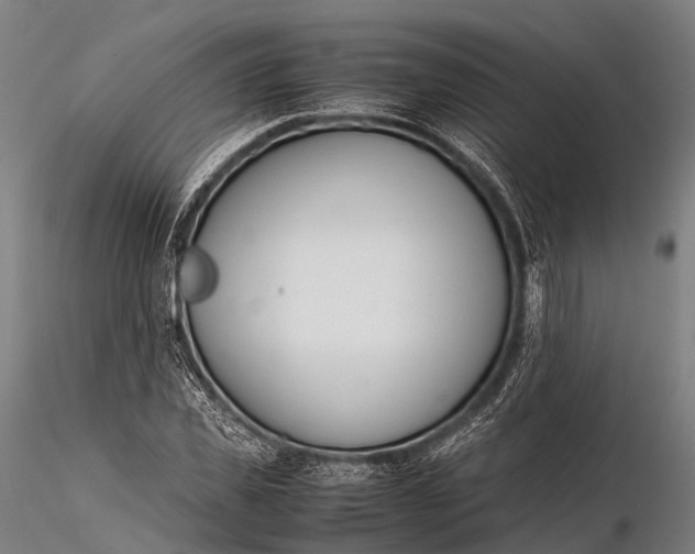 X0000115620925200912011611