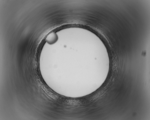 X0000115620927200912011611