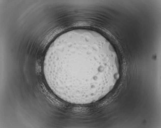 X0000115620929200912011611