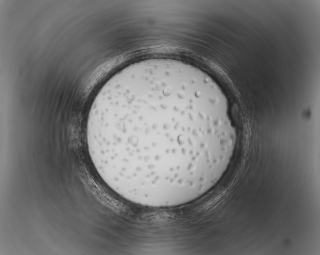 X0000115620930200912011611