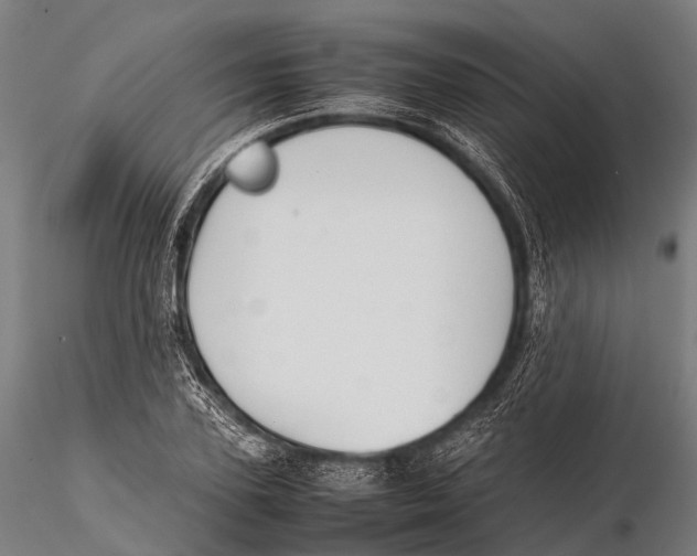 X0000115620931200912011611