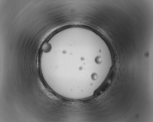 X0000115620934200912011611