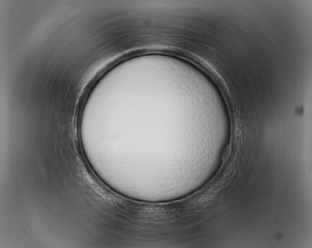 X0000115620935200912011611