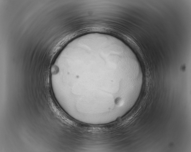 X0000115620938200912011611