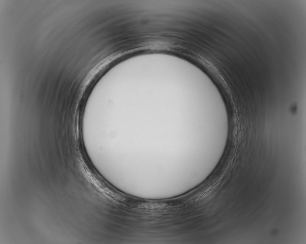 X0000115620939200912011611