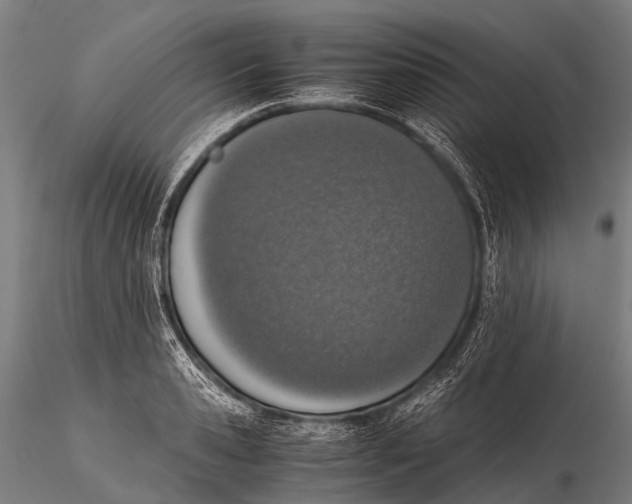 X0000115620941200912011611