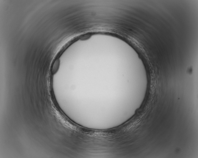 X0000115620942200912011611