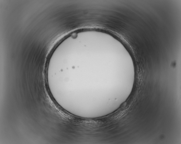 X0000115620943200912011611