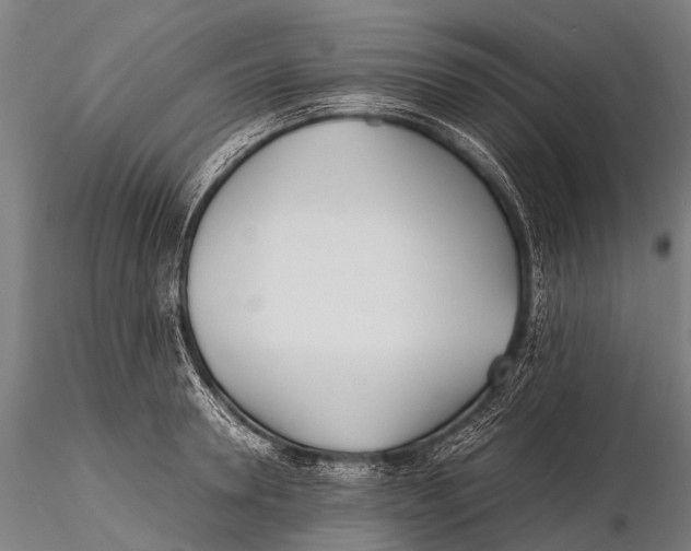 X0000115620946200912011611