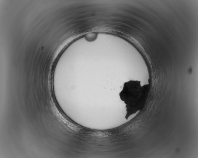 X0000115620947200912011611