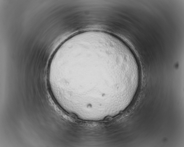 X0000115620949200912011611