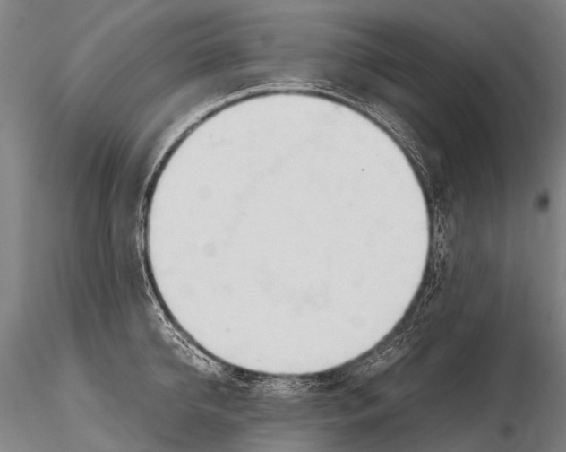 X0000115620950200912011611