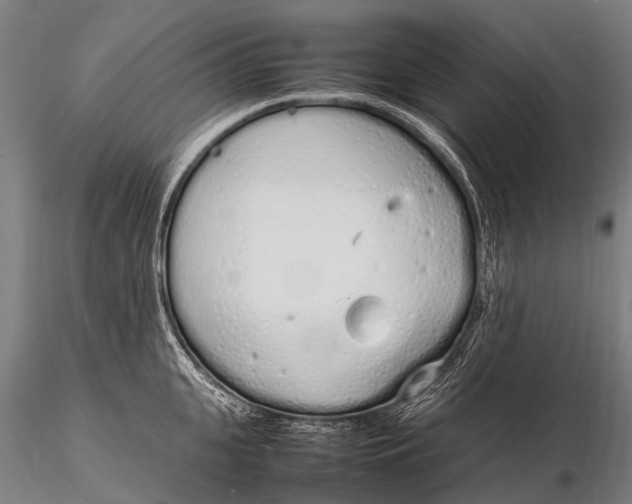 X0000115620951200912011611