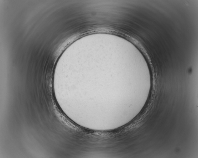 X0000115620954200912011611