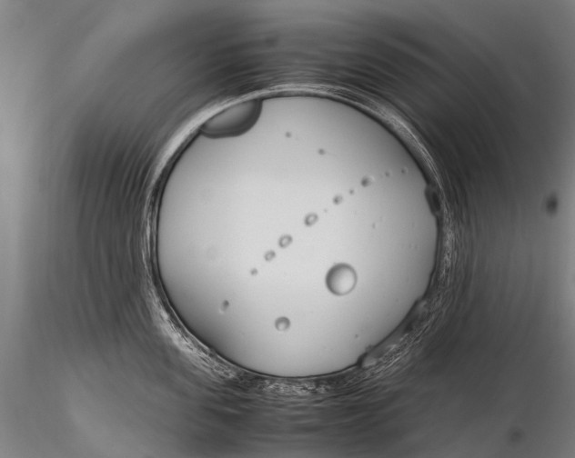 X0000115620955200912011611