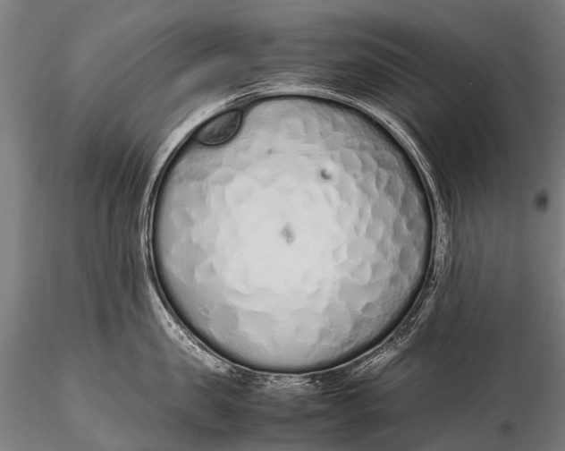 X0000115620957200912011611