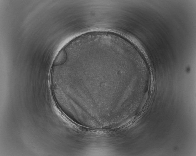 X0000115620958200912011611