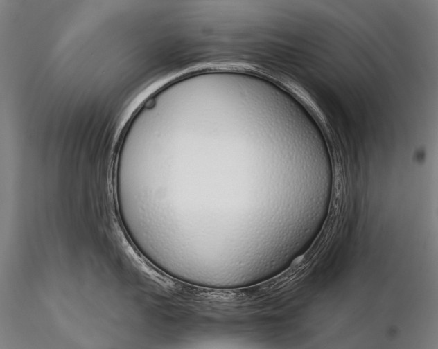 X0000115620959200912011611