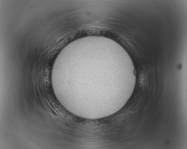 X0000115620964200912011611