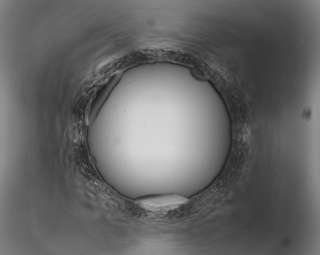 X0000115620965200912011611