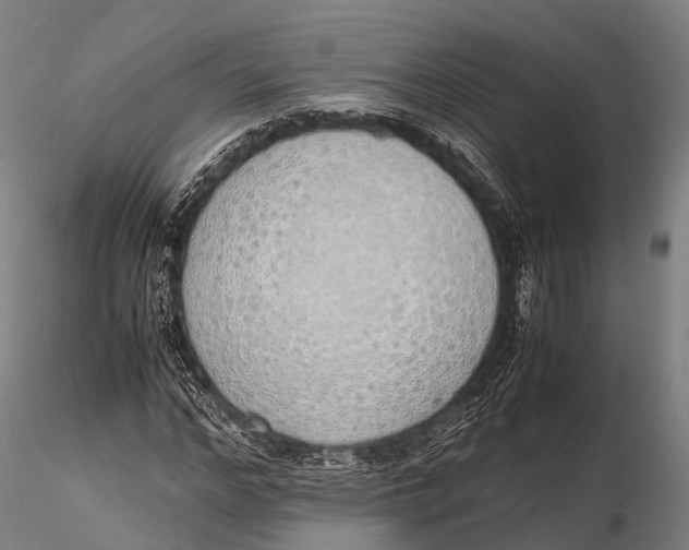 X0000115620968200912011611