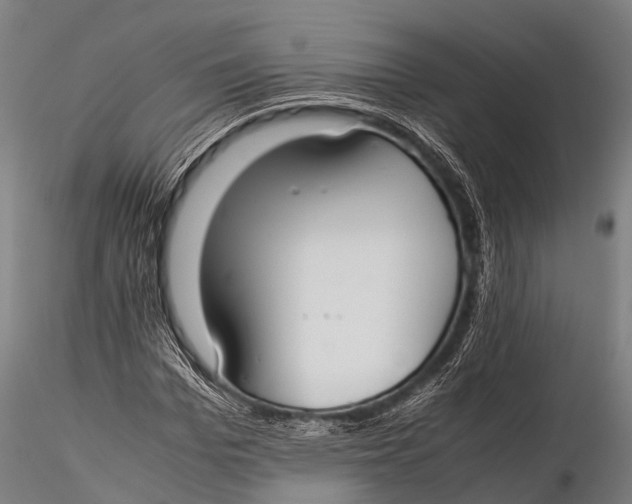 X0000115620969200912011611