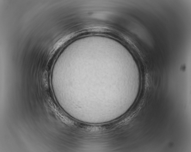 X0000115620970200912011611