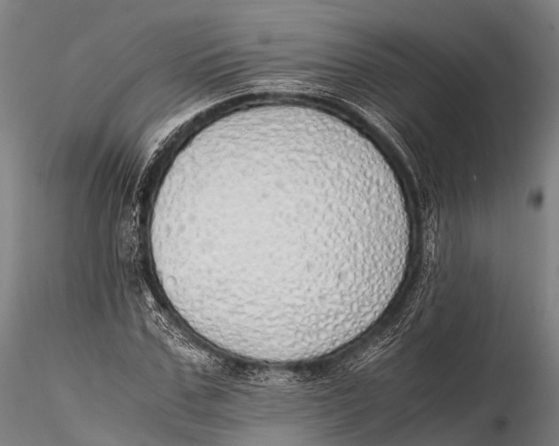 X0000115620971200912011611