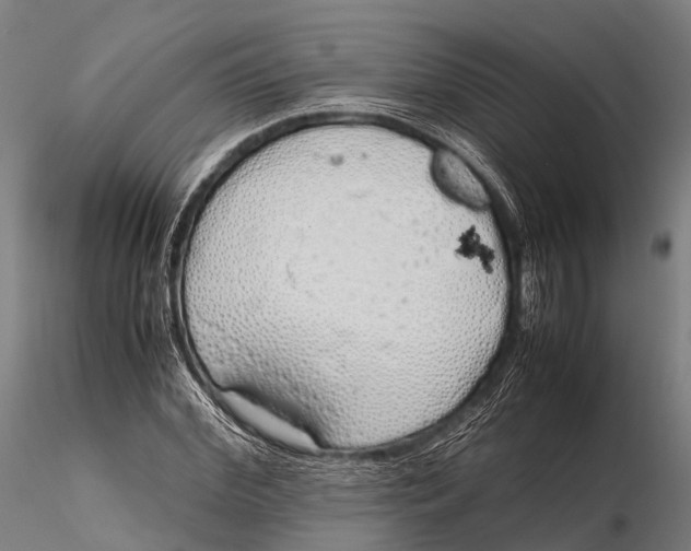 X0000115620972200912011611