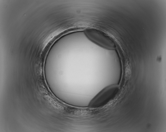 X0000115620973200912011611