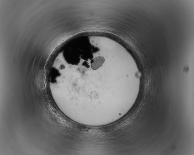 X0000115620974200912011611