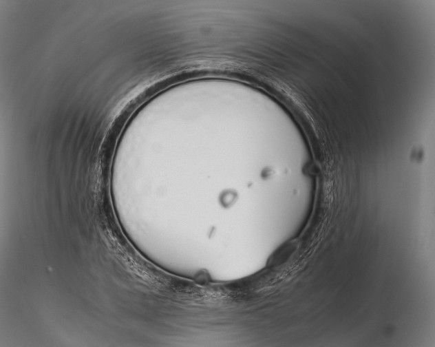 X0000115620975200912011611