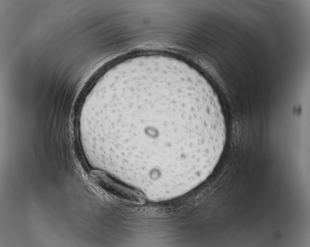 X0000115620976200912011611