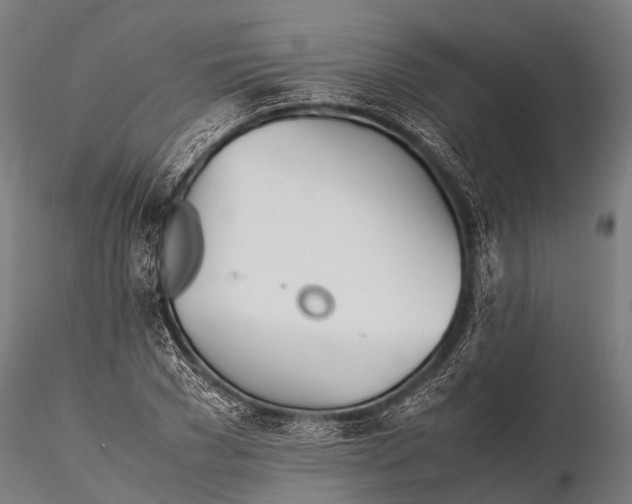 X0000115620977200912011611