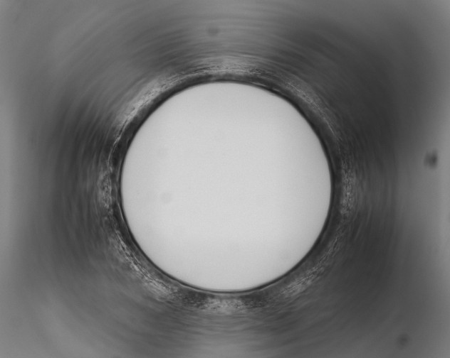 X0000115620978200912011610