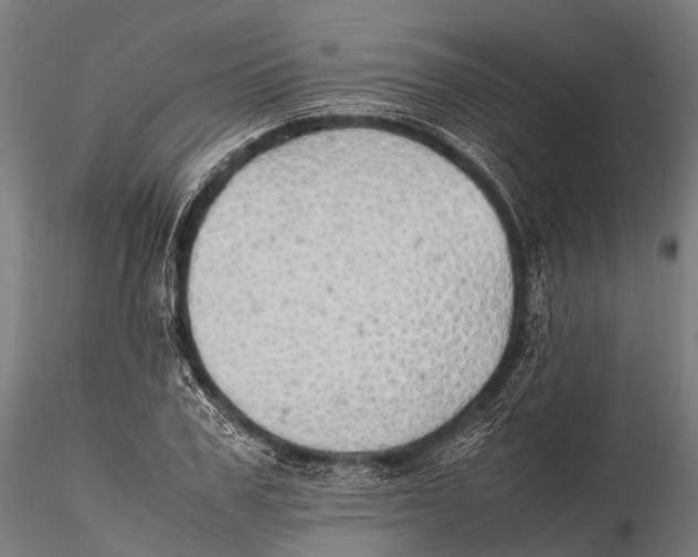 X0000115620979200912011610