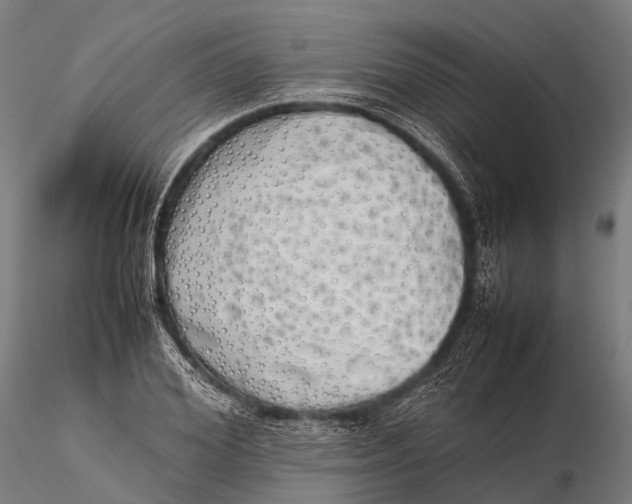 X0000115620980200912011610