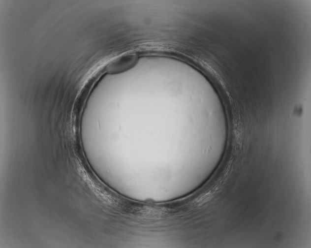 X0000115620981200912011610