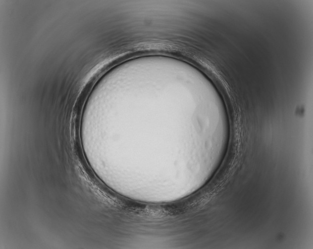 X0000115620983200912011610